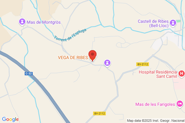Bodegas Vega De La Reina S.A.