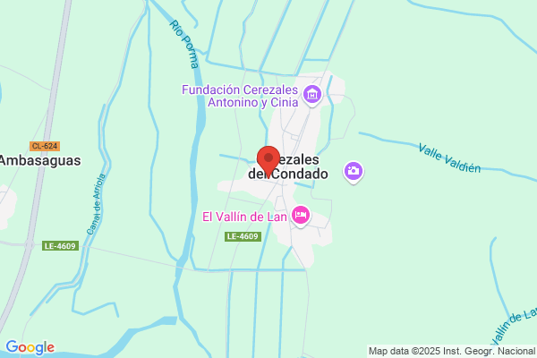 Cerezales Rodriguez s.