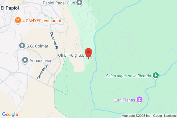 Vins I Olis Puig S. A.