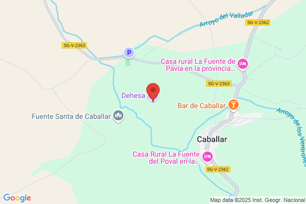 Dehesa De Cañal S.L.
