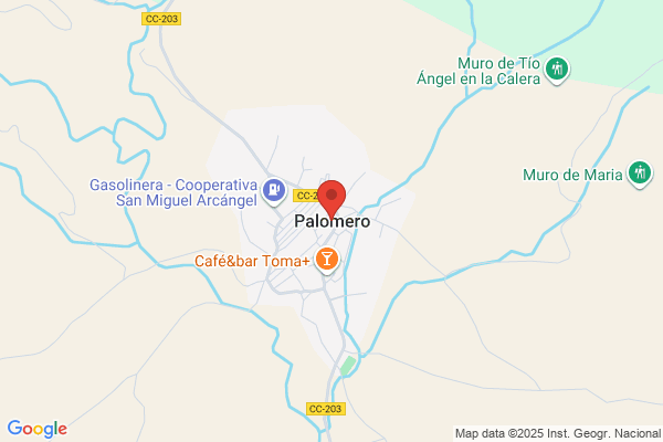Palomero Garcia a.