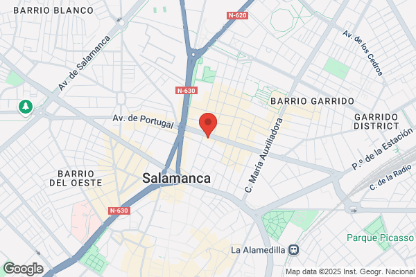 Comercial Industrial Electrica Salmantina S. A.
