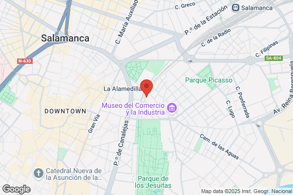 Academia De Musica Amadeus