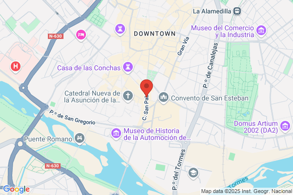 Hotel N.H. Palacio De Castellanos