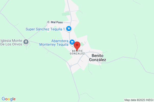 Gonzalez Benito a.