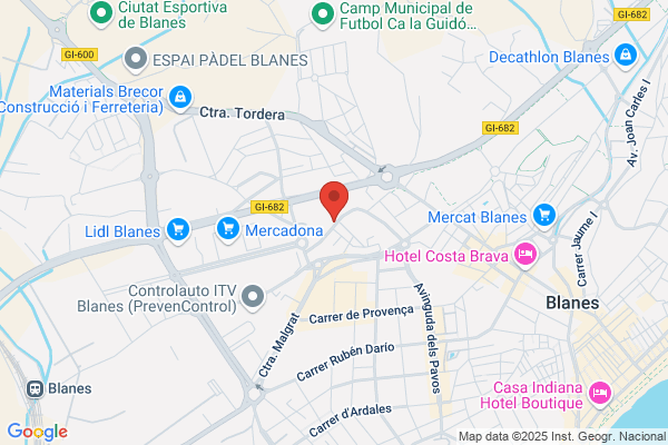 Ies Sa Palomera