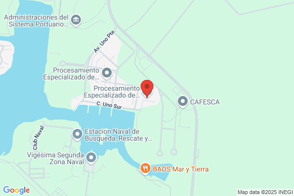 Procesa