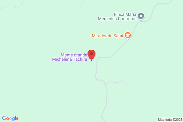 Michelena Erquicia a.
