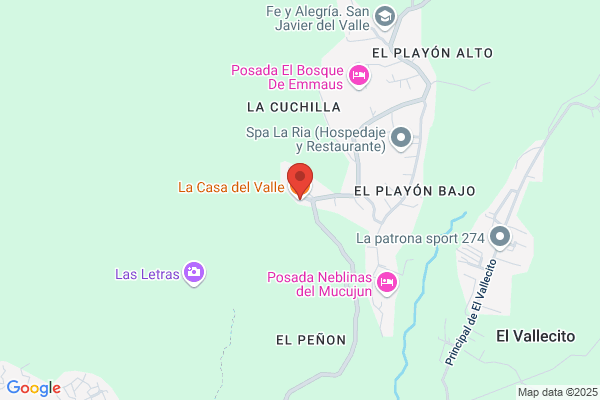 Lasa Del Valle m.
