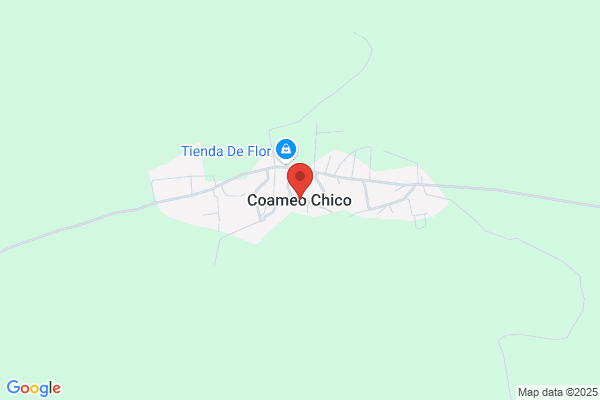 Comeron Chico a.