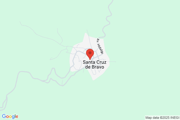 Cruz Bravo, Juan Antonio