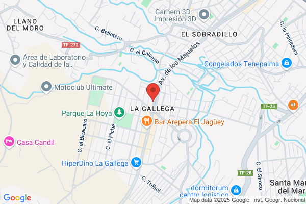 General De Distribucion Fiestasa S.L.