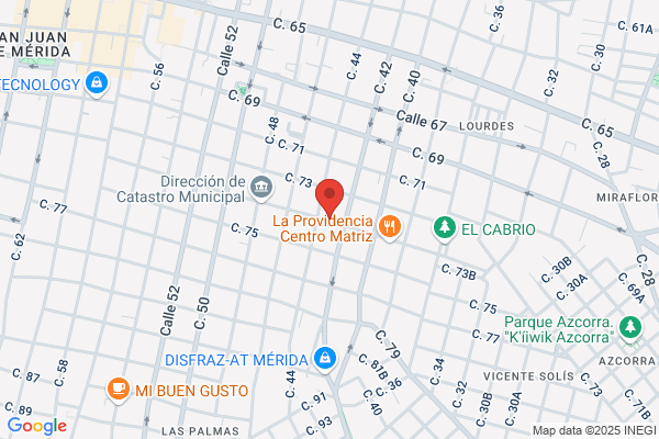 Pineda Hernandez v. L.