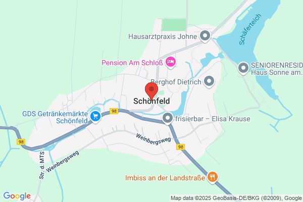Schonfeldt Machado c.