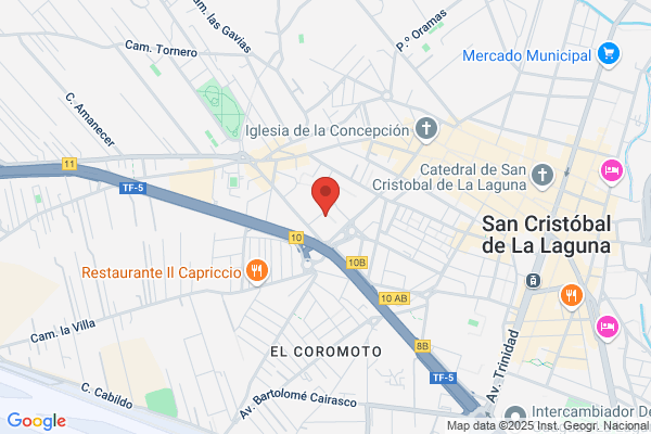 Asociacion Para El Fomento E Igualdad De los Derechos sociales