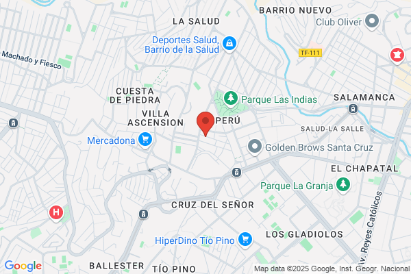 Caritas Diocesana De Accion Catolica