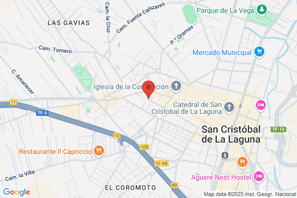 Asican Servicios A Domicilio S.L.
