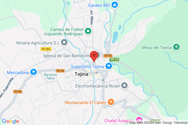 Bares Y Restaurantes Tejina