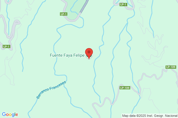 Fuentes Felipe f.