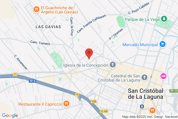 Ditec - Servicio Tecnico De Informatica