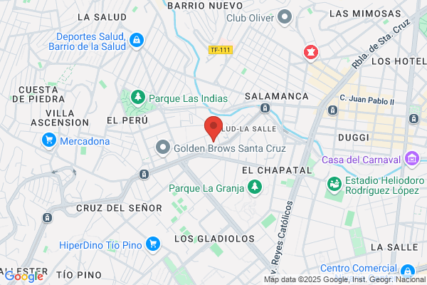 Domingo Garcia Y Vidal S. L.