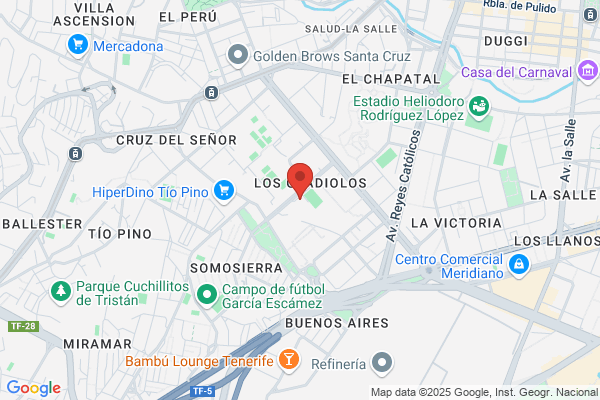 Centro De Servicios Sociales Los Gladiolos