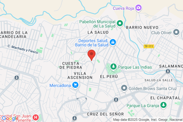 Colegio Oficial De Profesores Y Licenciados De educacion fisica