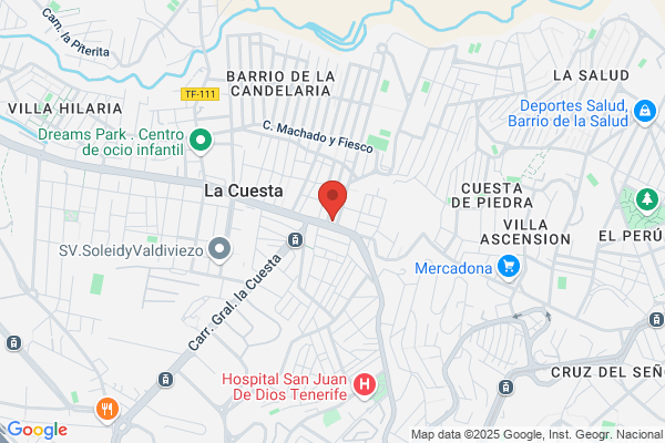 Bermudez Cedres m.