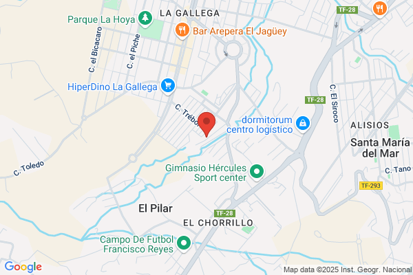 Dominguez Suarez t.