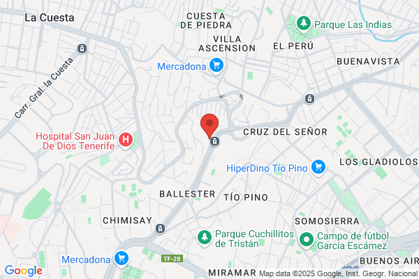 Conservatorios Privados De Musica