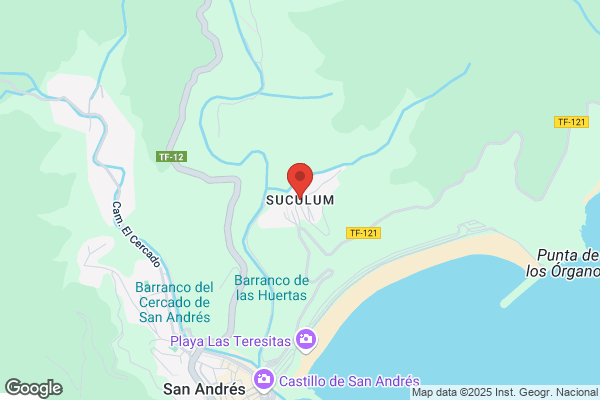 Suculum 2000 S.L.