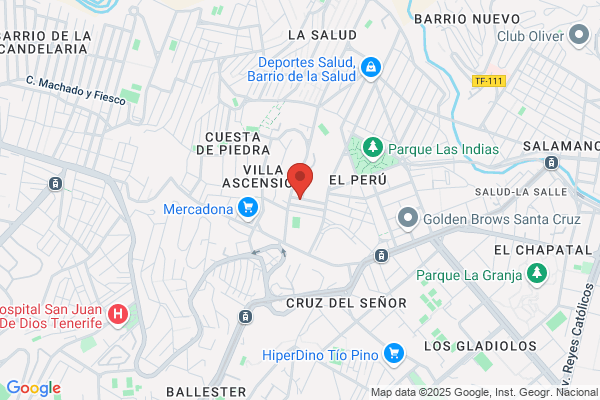 Calico S. A.