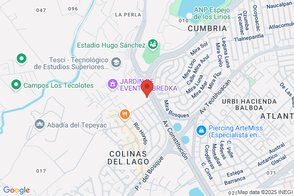 Viveros Los Lirios S.L.