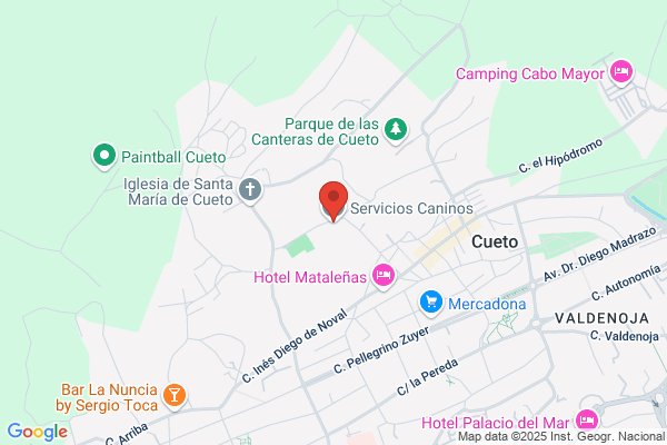 Servicios Caninos