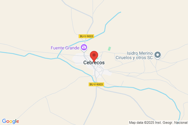 Cebrecos Ruiz a.