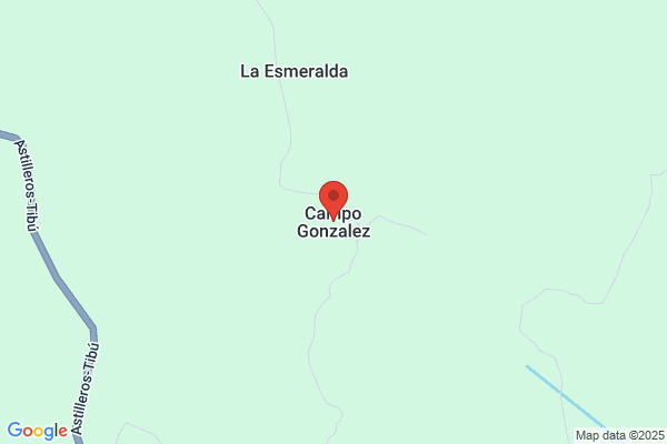 Gonzalez Campo s.