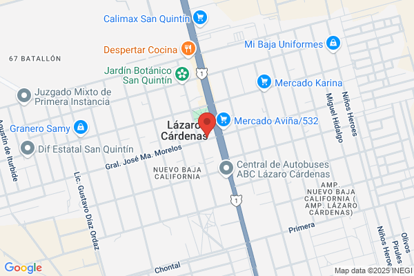 Libreria San Quintin