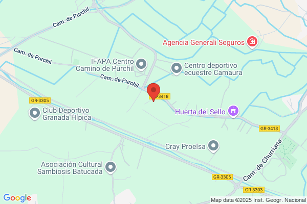 Sanchez Campo d.