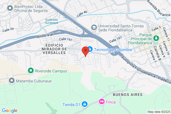 Restaurante Rochi