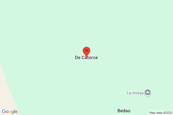 Catorce S.Cv.
