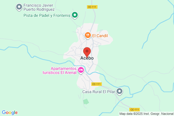 Diego Acebo s.
