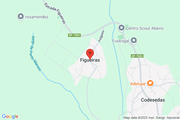 Figueiras Calviño s.