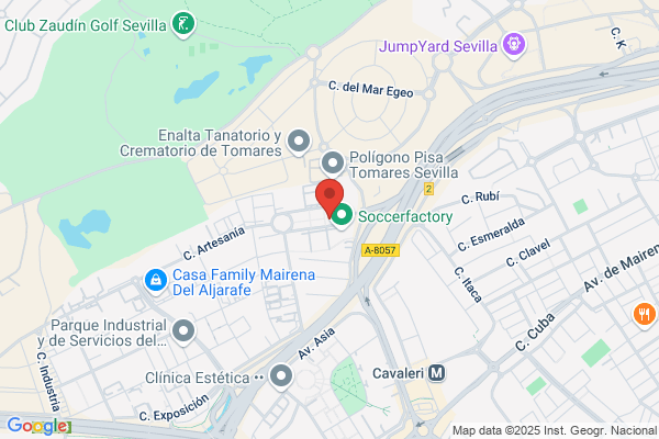 NASER SERVICIOS DE ASISTENCIA SL - sede principal