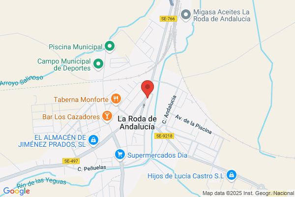 Transportes Ferroviarios Especiales S.A.