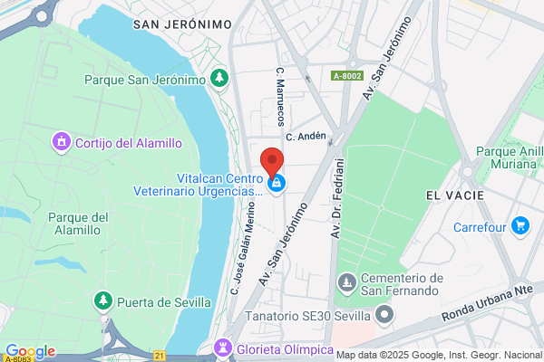 Terapia Urbana