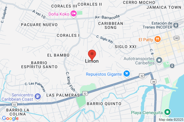 Limon Redondo j.