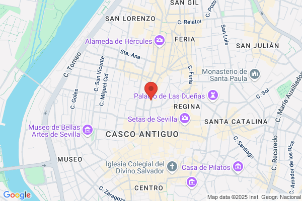 Casa Carreras Libreria -Bellas Artes