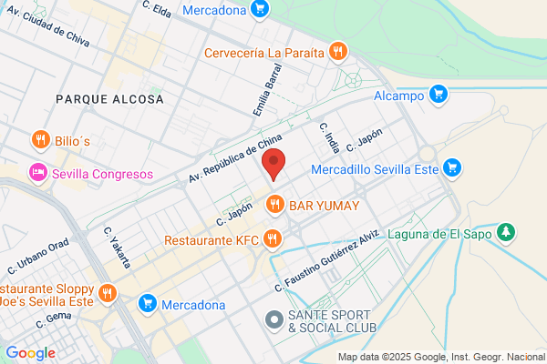 Ortiz Mesa j. A.