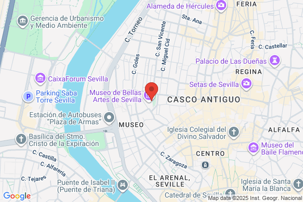 Asociacion Amigos Del Museo De Bellas Artes