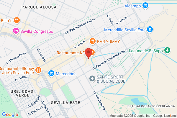 Alfa Service Spain S.L.